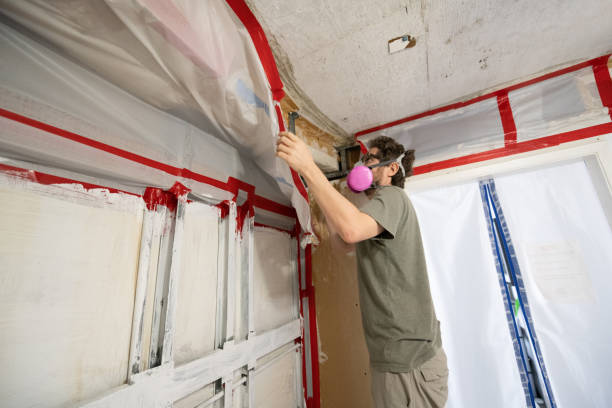 Mold Remediation for Rental Properties in Wading River, NY